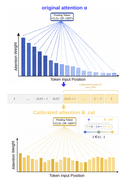 Attention Calibration for Position-Fair Dense Information Retrieval